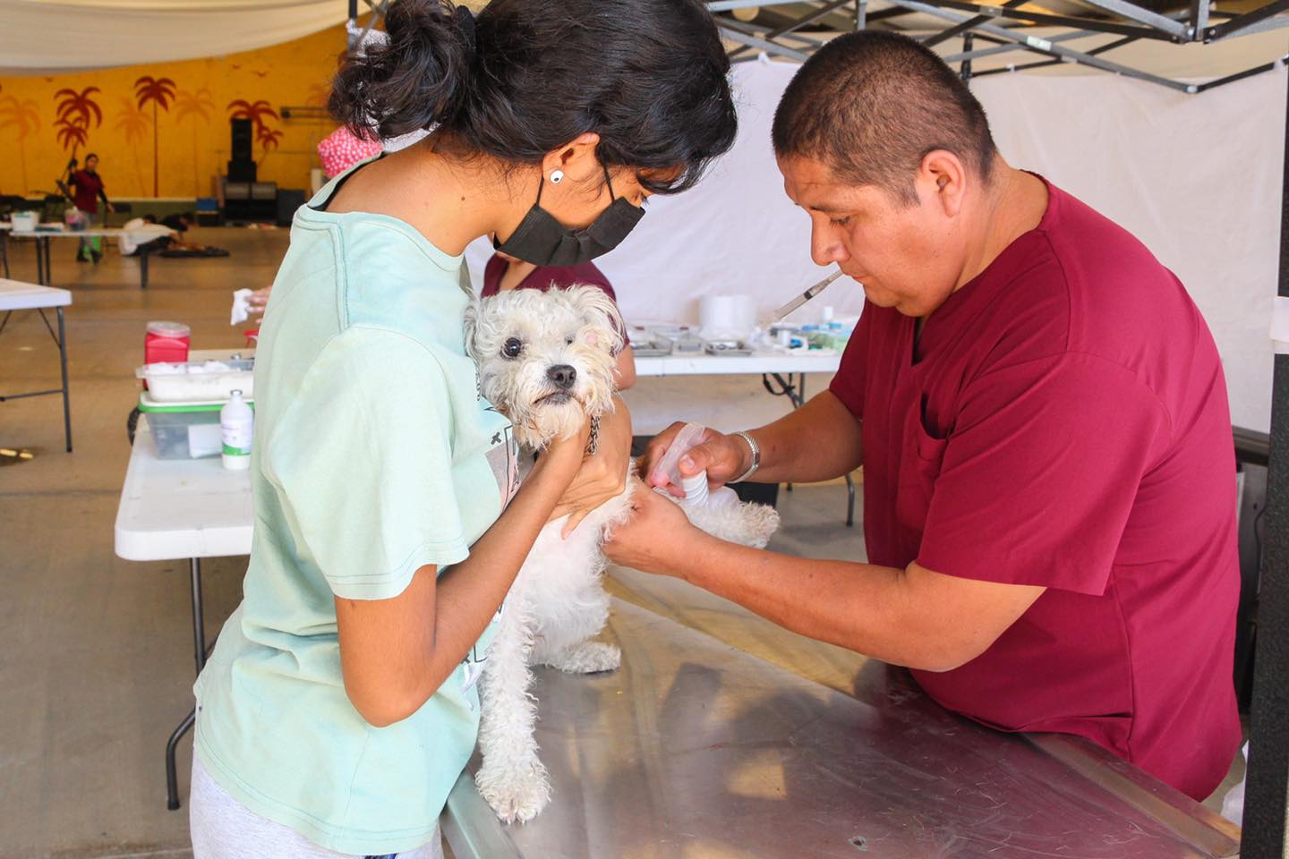 TERCERA CAMPAÑA DE ESTERILIZACIÓN DE PERROS Y GATOS